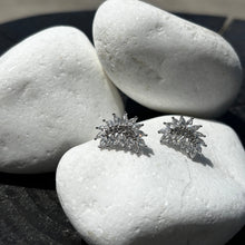 Load image into Gallery viewer, JASIEL SILVER925 EARRINGS
